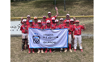 Vienna American 9-11 Baseball - State Champions